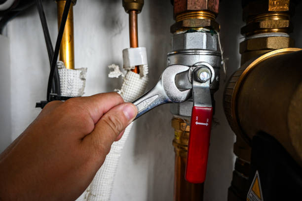 Best Clogged Drain Plumber  in Livingston, TN